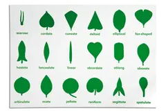 Botany Cabinet Control Chart