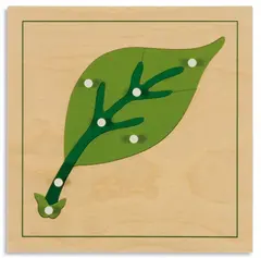 Botany Puzzle: Leaf